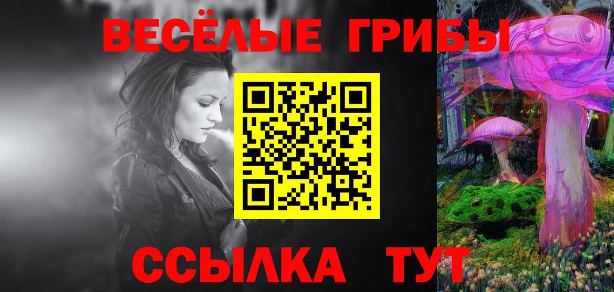 Будённовск  Псилоцибиновые грибы Cubensis  Вход с VPN 